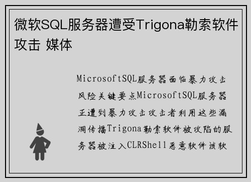 微软SQL服务器遭受Trigona勒索软件攻击 媒体
